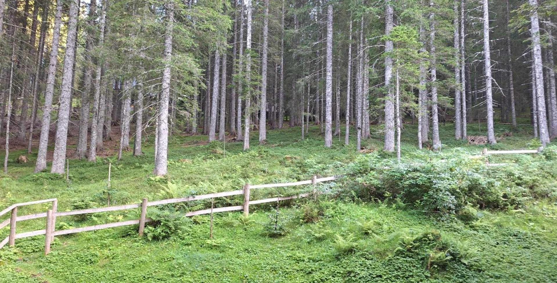 Apartma Anja Zgornje Gorje Exterior foto